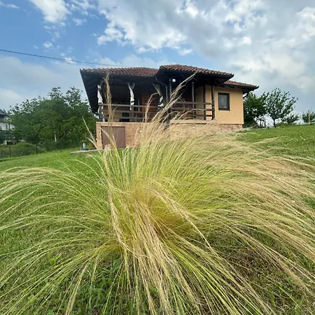 Kuca Tajna Banja Vrujci Semesterbostad *