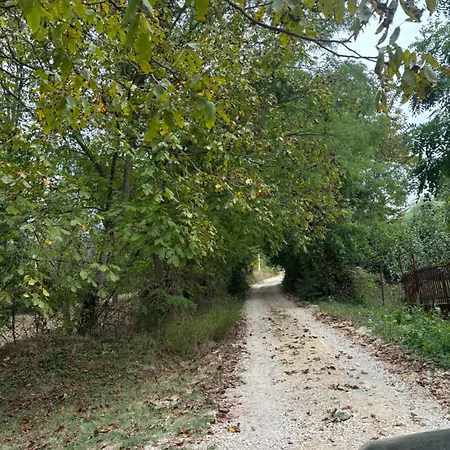 Semesterbostad Kuca Tajna Banja Vrujci *