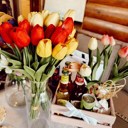 Kuca Tajna Banja Vrujci * Mionica