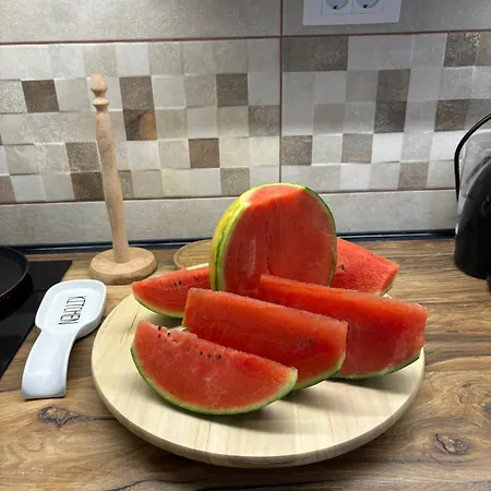 Kuca Tajna Banja Vrujci Mionica