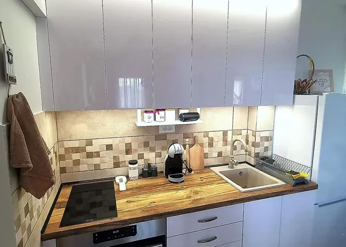 Dom wakacyjny Kuca Tajna Banja Vrujci Mionica