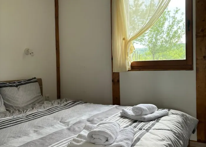 Kuca Tajna Banja Vrujci * Mionica