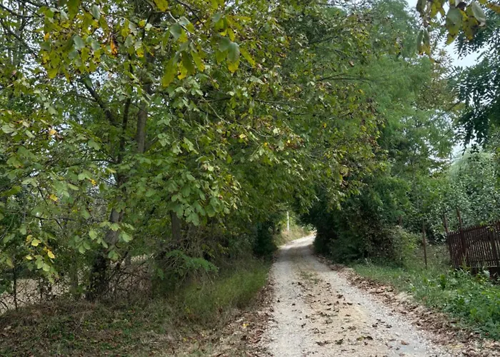 Dom wakacyjny Kuca Tajna Banja Vrujci *