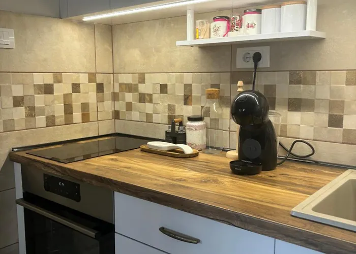 Kuca Tajna Banja Vrujci Mionica