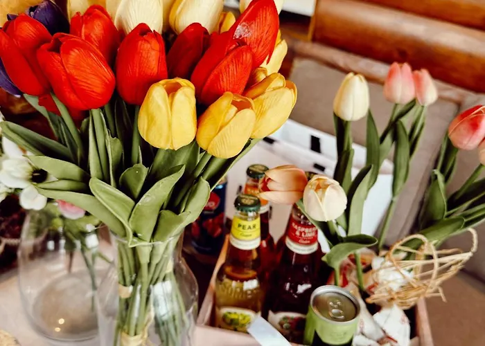 Kuca Tajna Banja Vrujci * Mionica