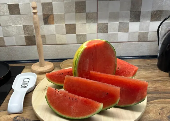 Kuca Tajna Banja Vrujci Mionica